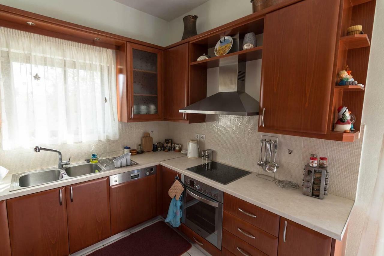 Big Family House In Mesochoria Village 外观 照片