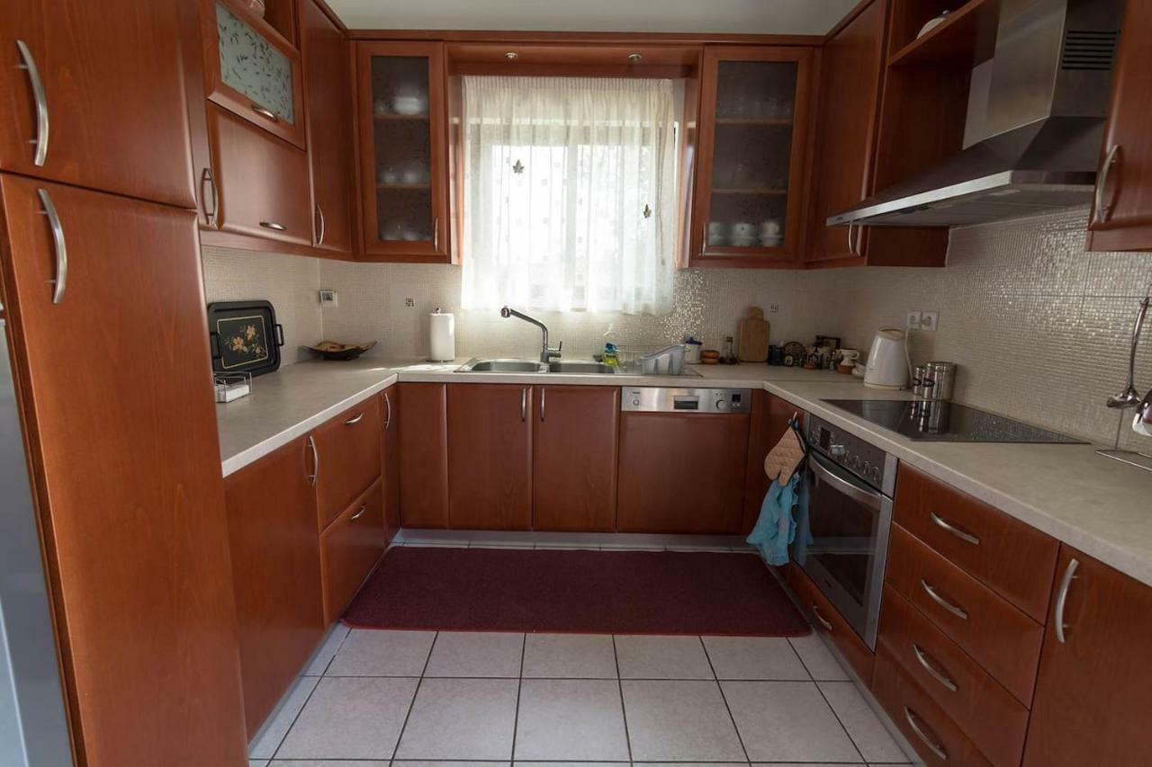 Big Family House In Mesochoria Village 外观 照片
