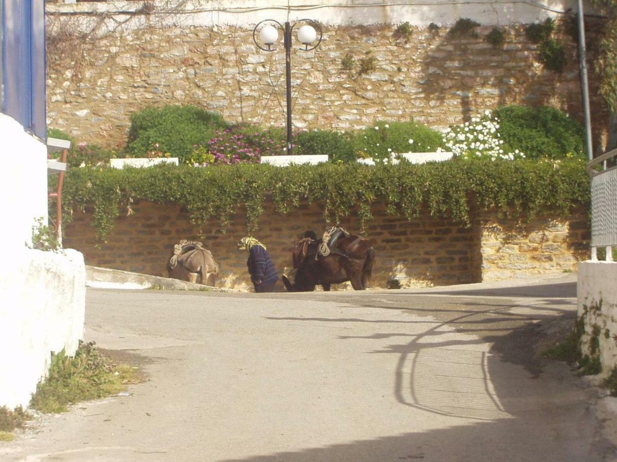Big Family House In Mesochoria Village 外观 照片
